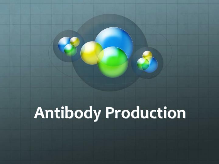 Benefits of Custom Antibody Production in Research and Medicine