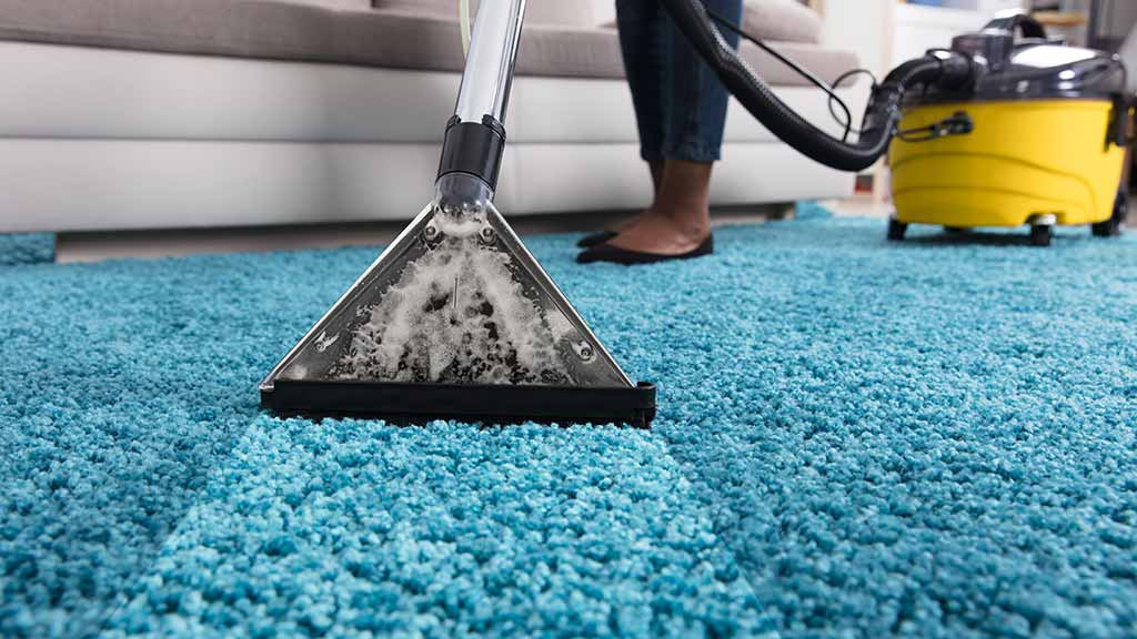 Make Carpet Cleaning Easier with Our Proven Fort Collins Carpet Cleaning Strategies