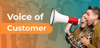 Everything You Should Know About the Voice of the Customer