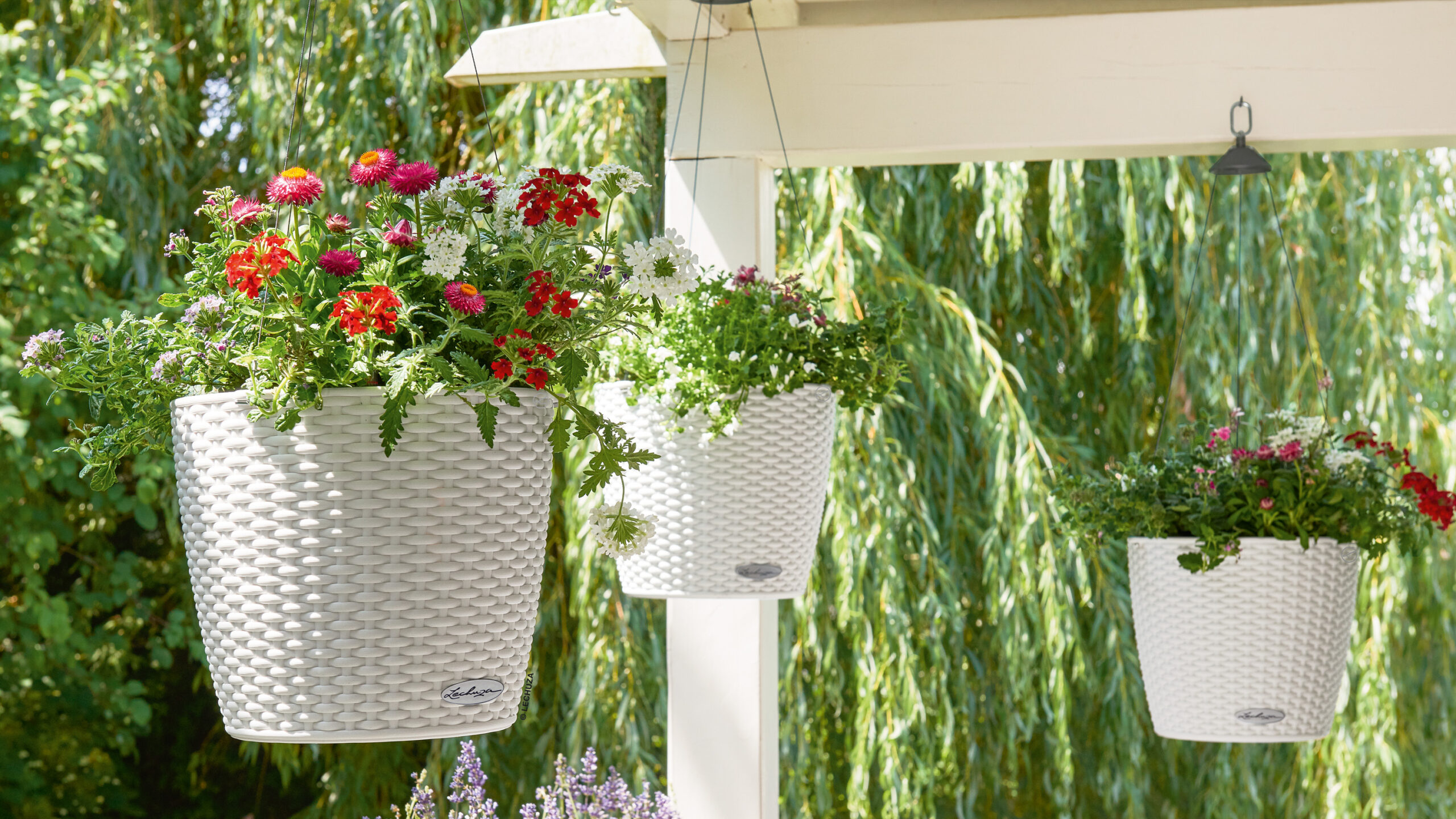 Elevate Your Garden: Showcase Of Hanging Plant Pot Designs And Tips For Creating Beautiful Hanging Gardens