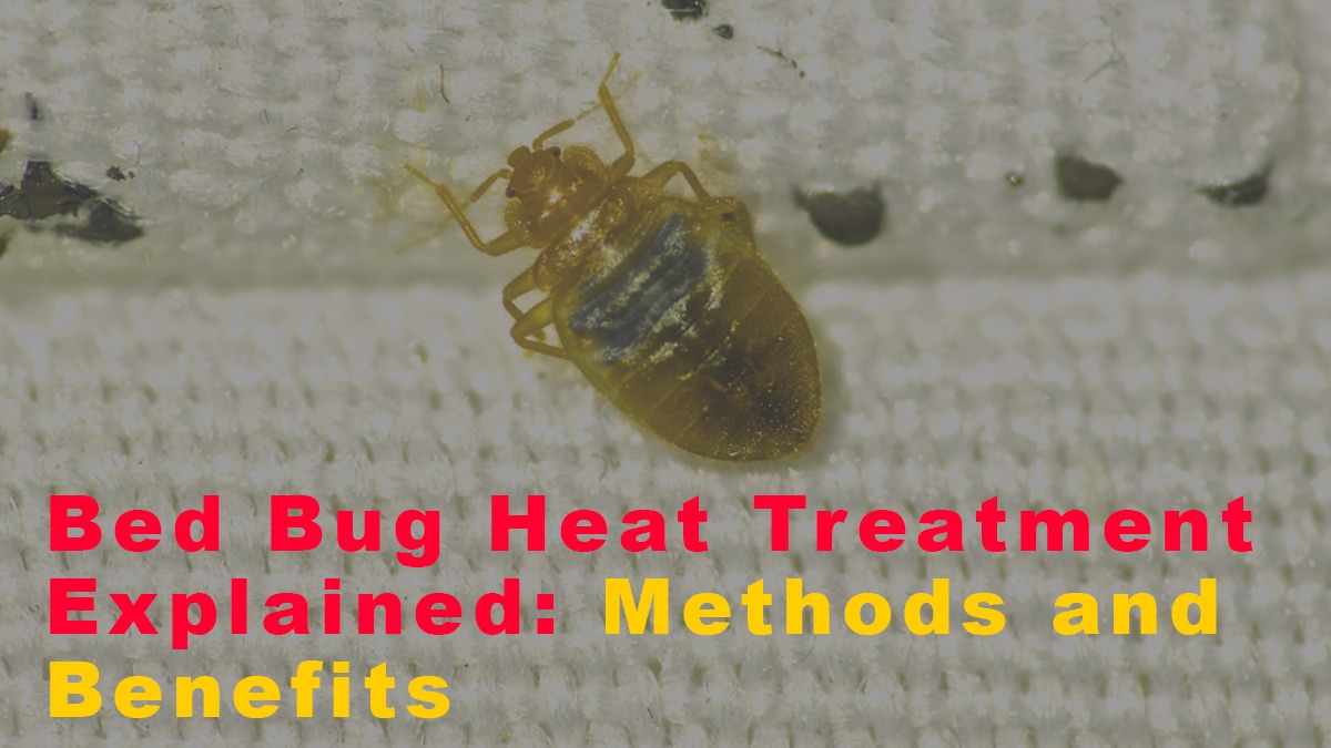 Bed Bug Heat Treatment Explained: Methods and Benefits
