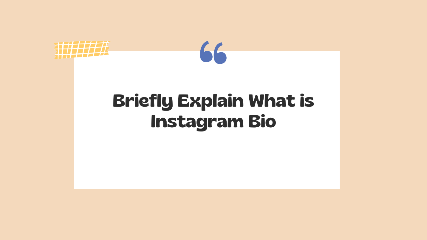 Briefly Explain What Is Instagram Bio?