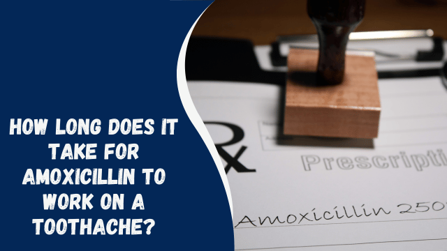 How Long Does It Take for Amoxicillin to Work on a Toothache?