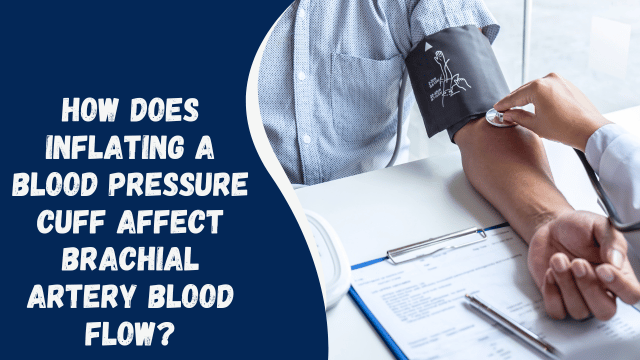 How Does Inflating a Blood Pressure Cuff Affect Brachial Artery Blood Flow?