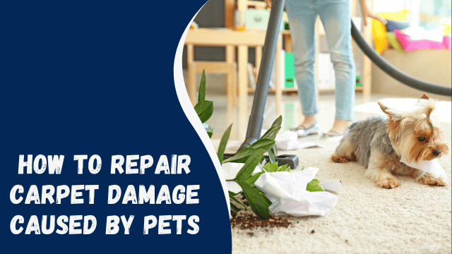 How to Repair Carpet Damage Caused by Pets