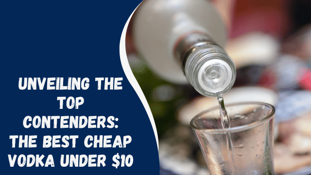 Unveiling the Top Contenders: The Best Cheap Vodka Under $10