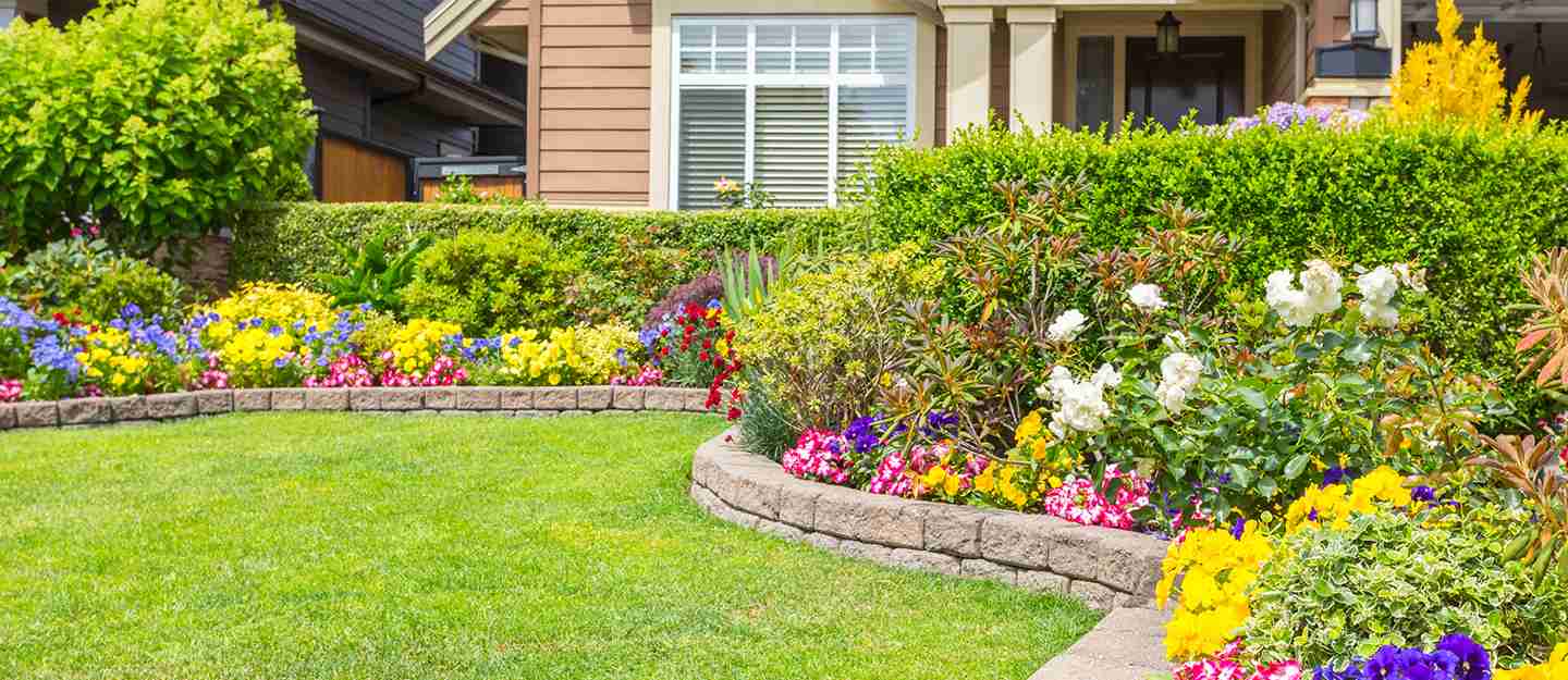 The Benefits Of Professional Landscaping Services In Christchurch