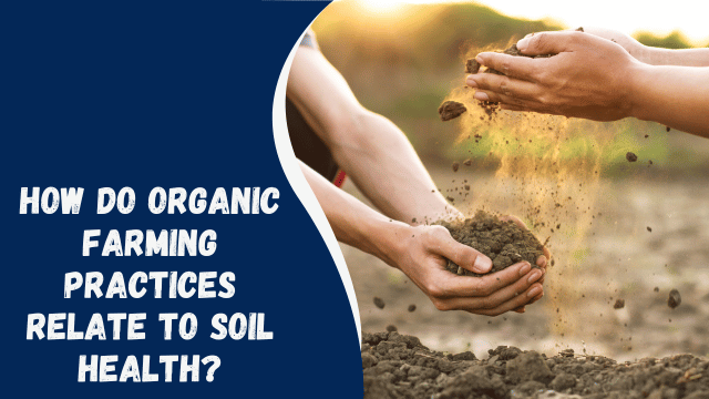 How Do Organic Farming Practices Relate to Soil Health?