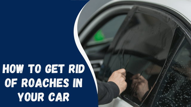 How to Get Rid of Roaches in Your Car: A Comprehensive Guide