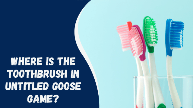 Where is the Toothbrush in Untitled Goose Game?