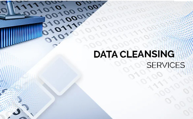 Data Cleansing Tools