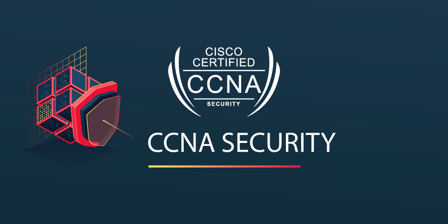 How much can a person who has obtained the CCNA certificate earn in a month?