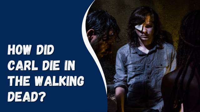 How Did Carl Die in The Walking Dead?