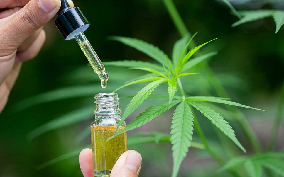 Unlocking The Potential Of Hemp: Finding The Perfect Solvent Supplier For Efficient Extraction
