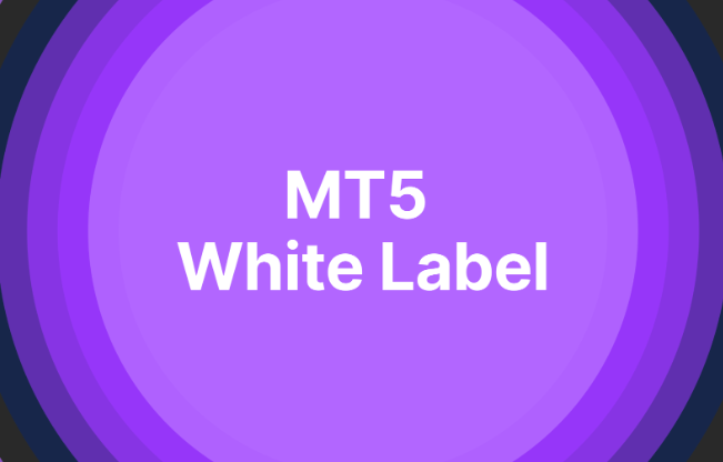 Using the MT5 White Label Platform to Establish Your Business