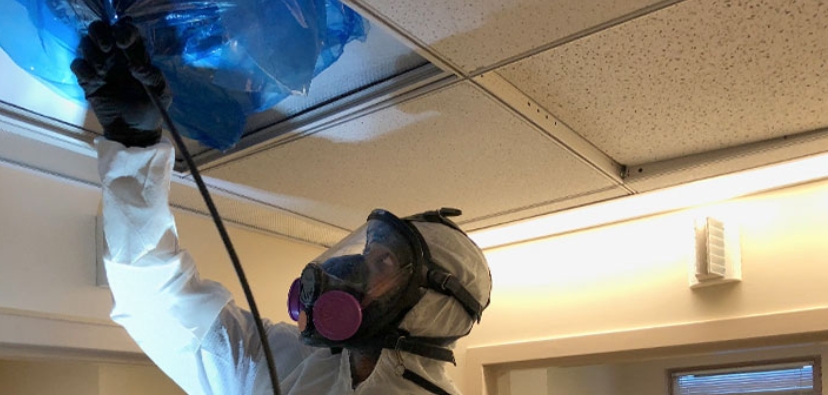 Special Care Needed for Hospital Duct Cleaning