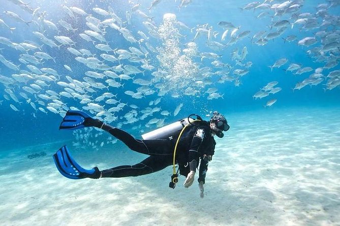 Exploring the Underwater World: Scuba Diving in Egypt for New Divers